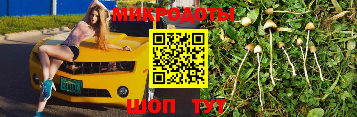 наркошоп  Псилоцибиновые грибы ЛСД  Вход с VPN  Тулун 